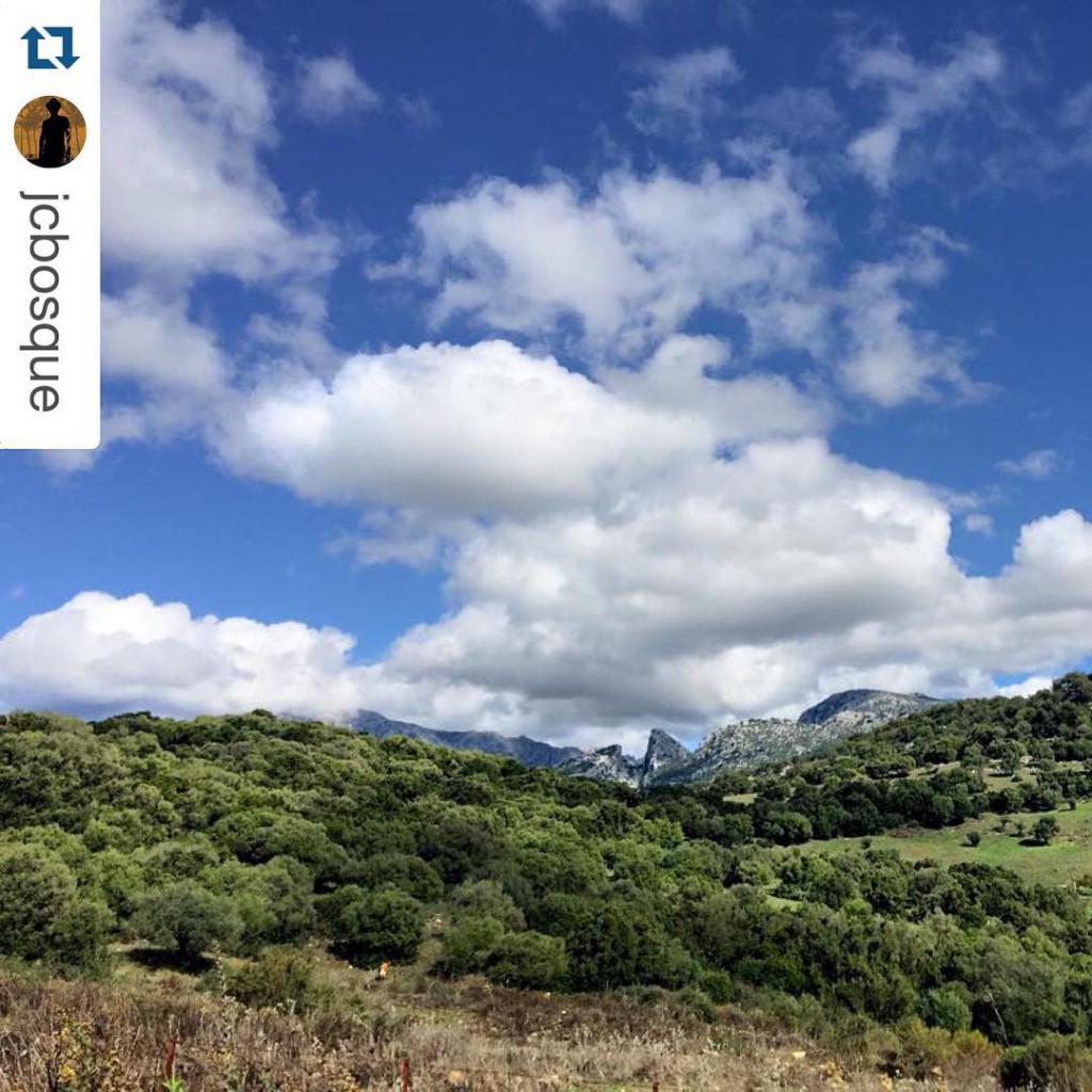 Imágenes de El Bosque Turismo El Bosque Grazalema Benamahoma Cadiz