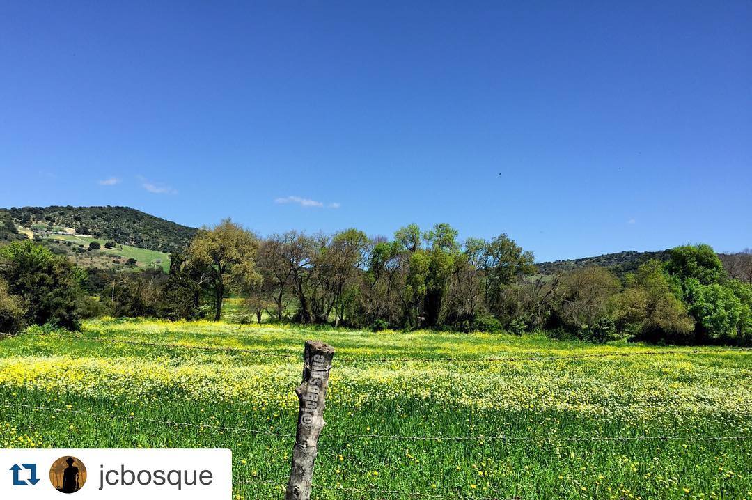Primavera en El Bosque (Cádiz) Turismo El Bosque Grazalema