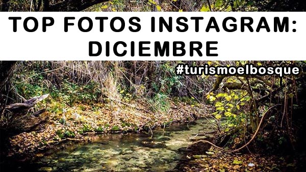 Las mejores imágenes de Diciembre en Instagram