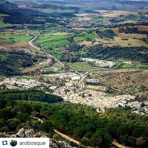 el bosque cadiz