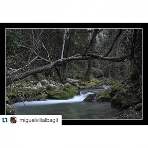 rio el bosque cadiz