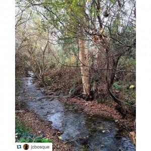 rio majaceite el bosque