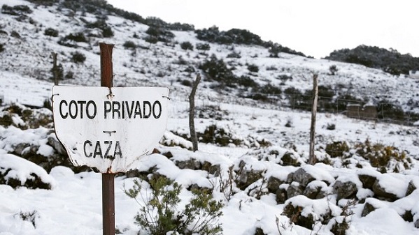 Nieve en Grazalema 2016