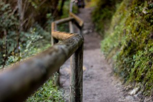 ruta senderismo el bosque benamahoma