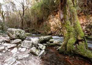 senderismo el bosque benamahoma