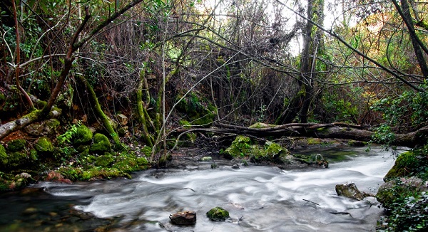 Ruta de senderismo El Bosque Benamahoma en imágenes