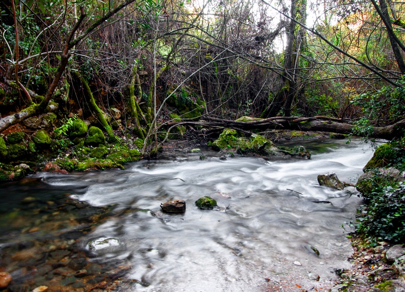 IMG_20160221_200015 Turismo El Bosque Grazalema Benamahoma Cadiz