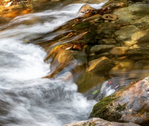 rio el bosque cadiz