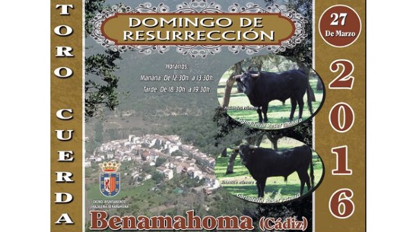 Toro de Cuerda de Benamahoma 2016