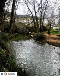 fotos el bosque cadiz