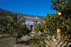 casas rurales el bosque cadiz