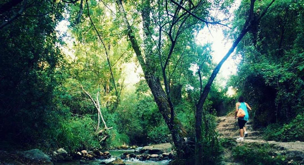 Semana Santa en El Bosque Cádiz