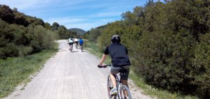 ruta bicicleta el bosque cadiz