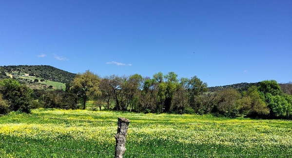 Primavera en El Bosque (Cádiz)