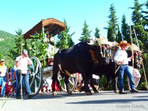 Romería El Bosque