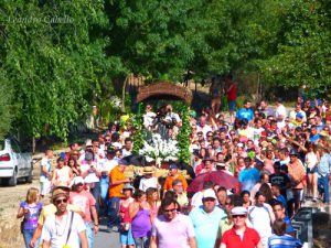 Romeria El Bosque